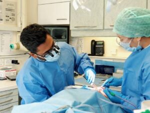 Missing Teeth and Bone Loss: What Most Patients Don’t Know About Dental Implant Treatment